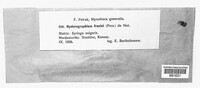 Image Associated With the Occurence